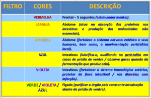 Blog - 2o. Cérebro